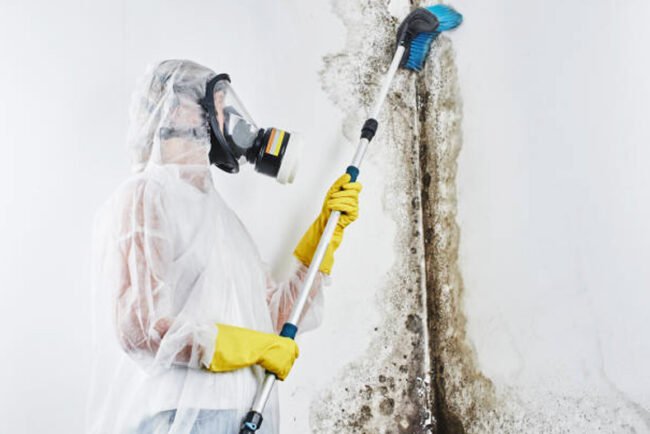 Mould remediation in Canberra (1) mold removal in canberra