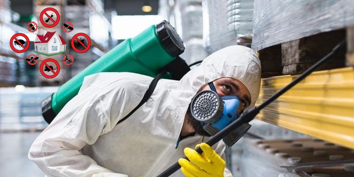 Pest control service blog