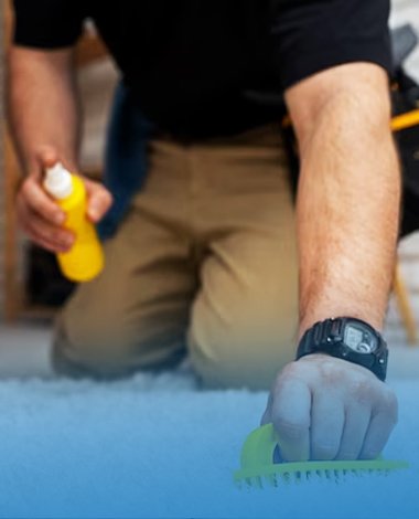 Carpet Repair Canberra