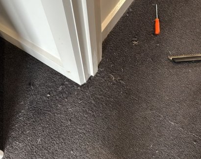 Timber Floor Repair & Install